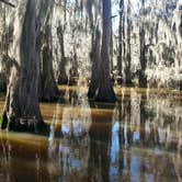 Review photo of Caddo Lake State Park Campground by Rebecca , January 6, 2021
