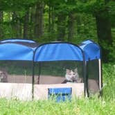 Review photo of Raccoon Creek State Park Campground by Suzann A., May 27, 2018