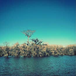 Caddo Lake State Park Campground