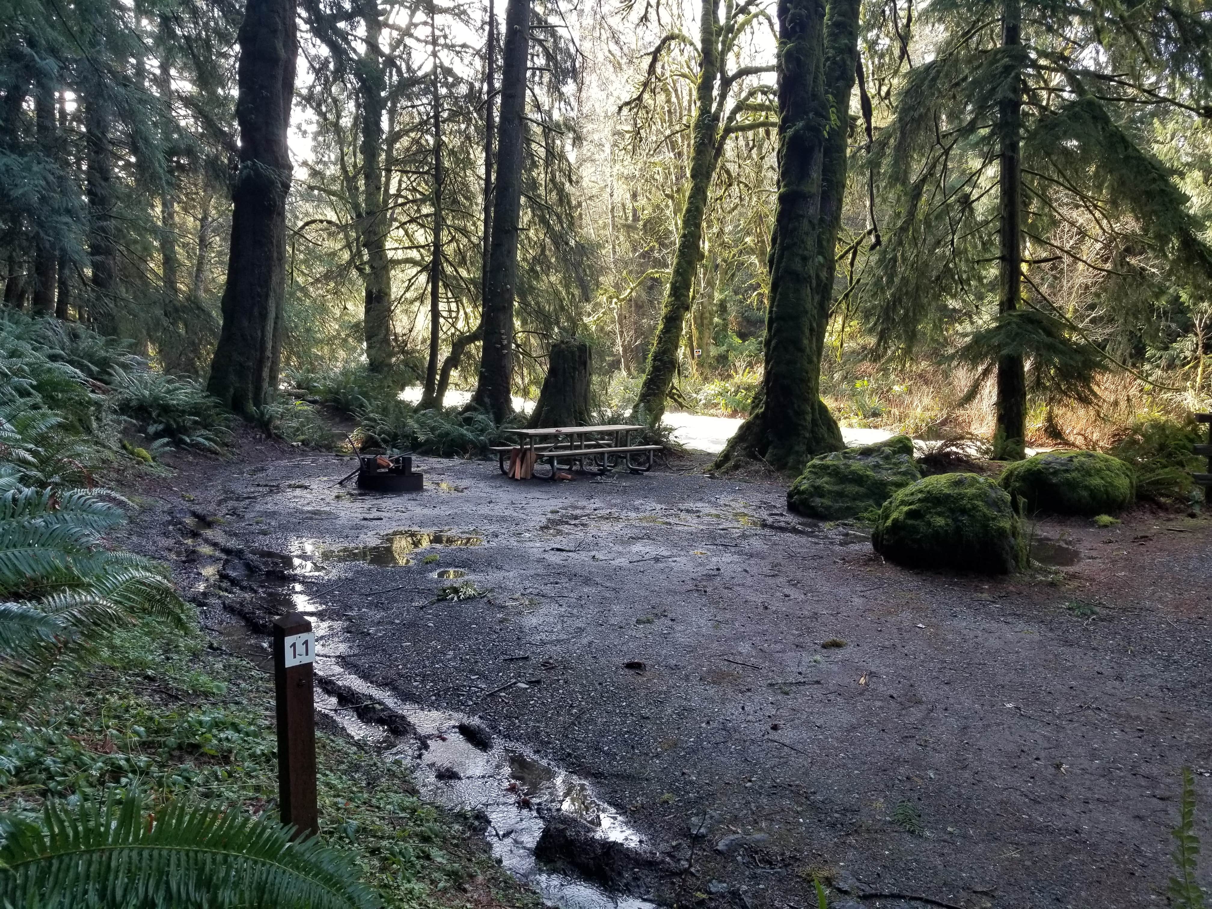 Camper-submitted photo at Lyre River Campground near Joyce, WA
