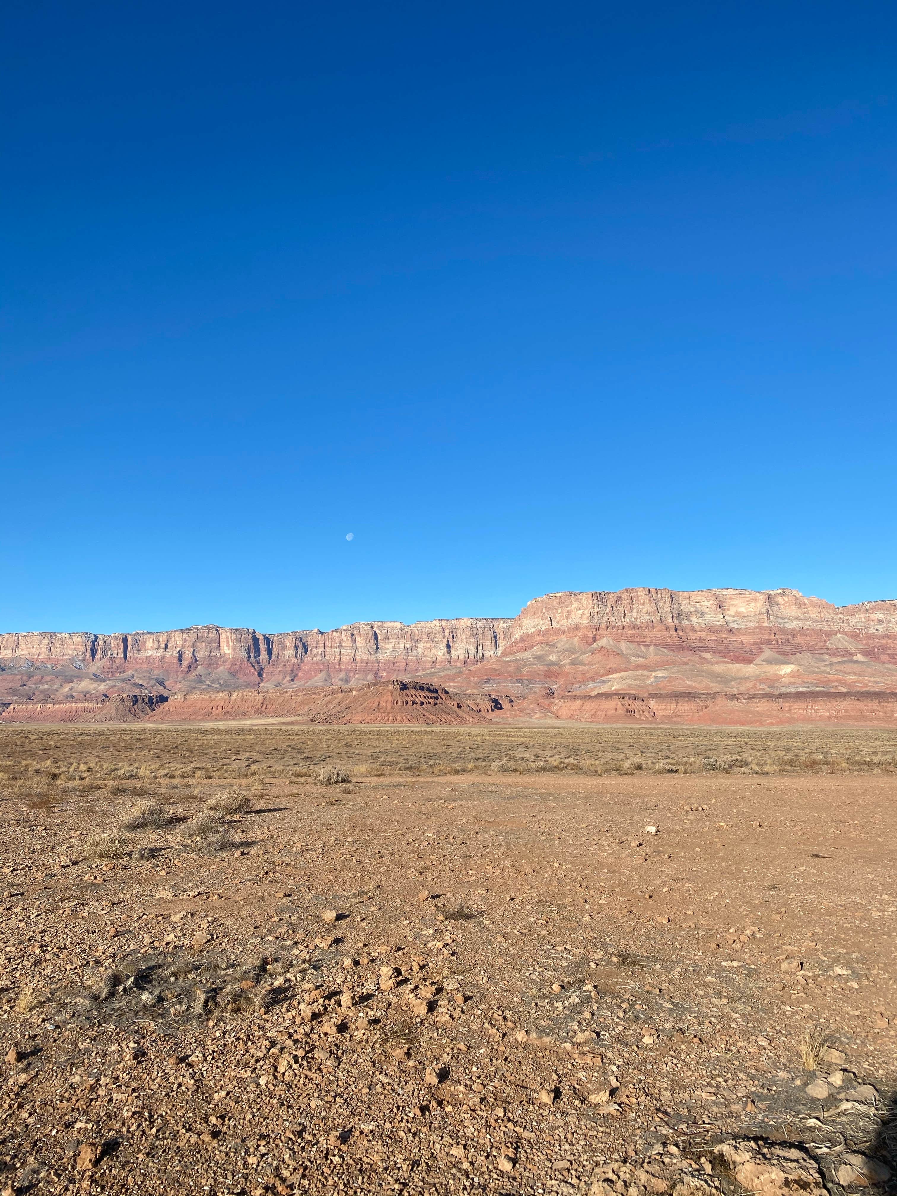 Camper-submitted photo at Soap Creek - Dispersed Camping near Page, AZ