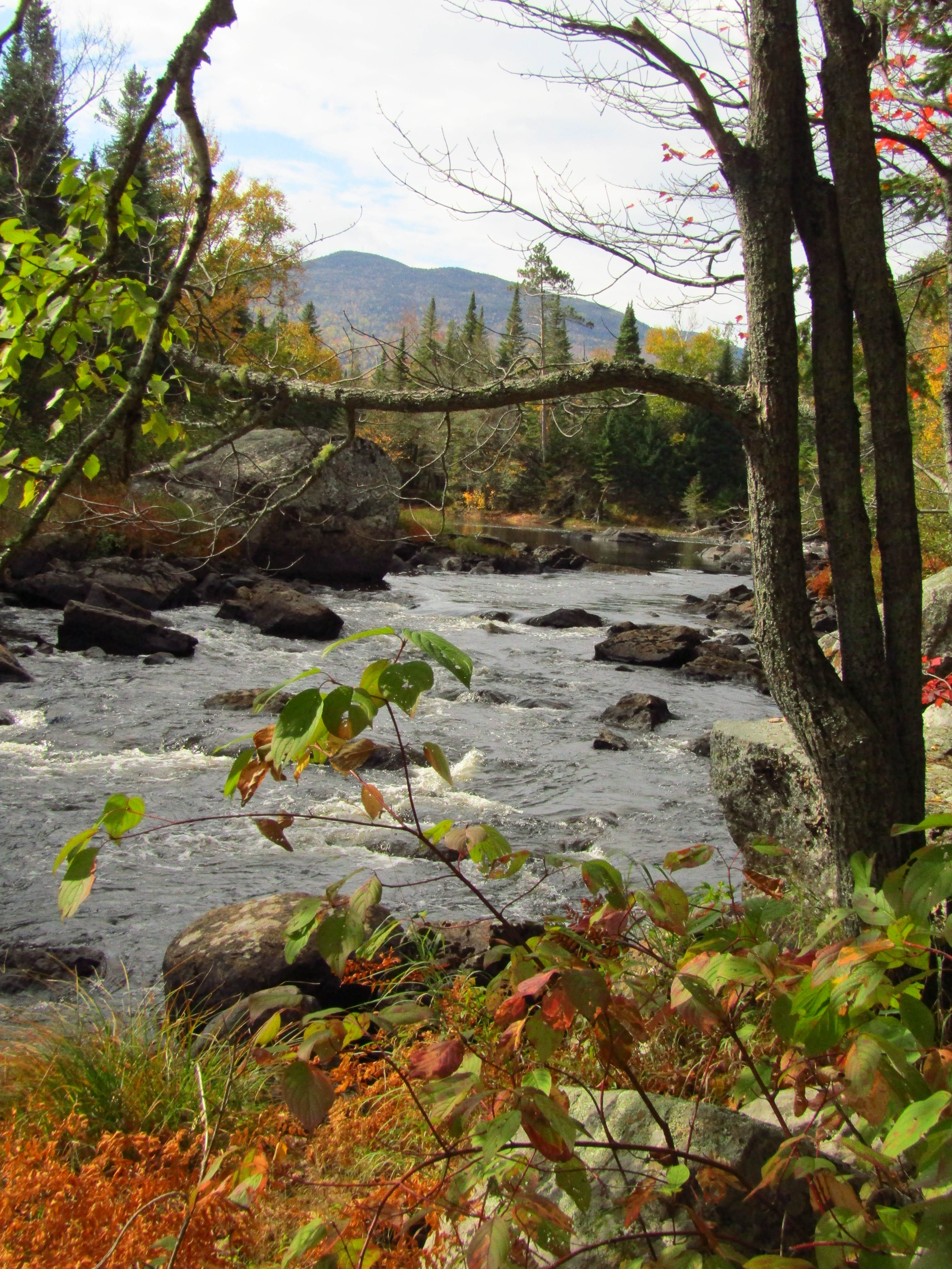 Camper-submitted photo at Holeb Falls near Jackman, ME