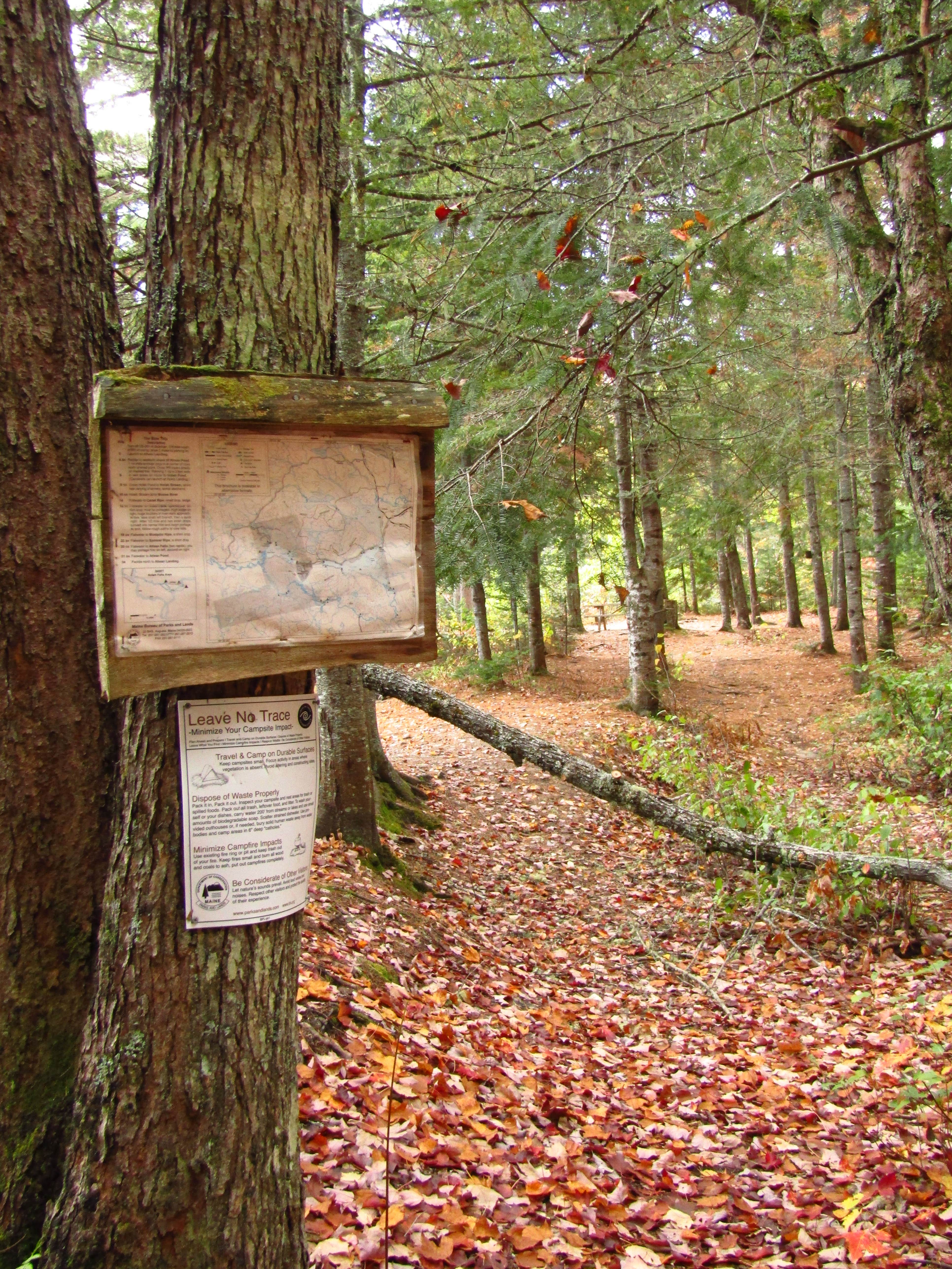 Camper-submitted photo at Holeb Falls near Jackman, ME