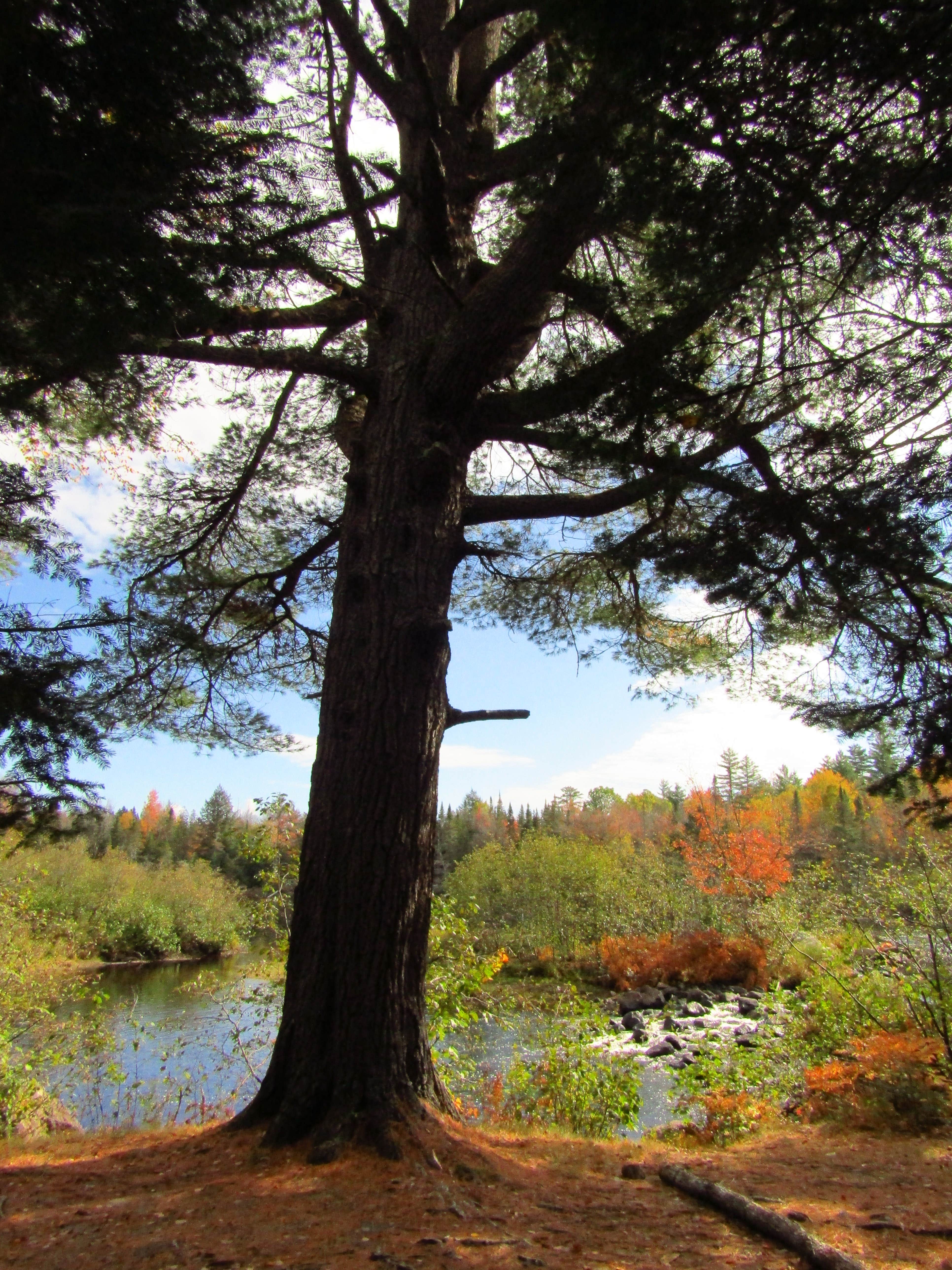 Camping near Portage Site: Holeb Falls, Jackman, Maine
