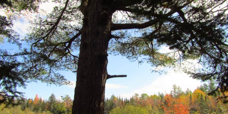 Camper submitted image from Holeb Falls