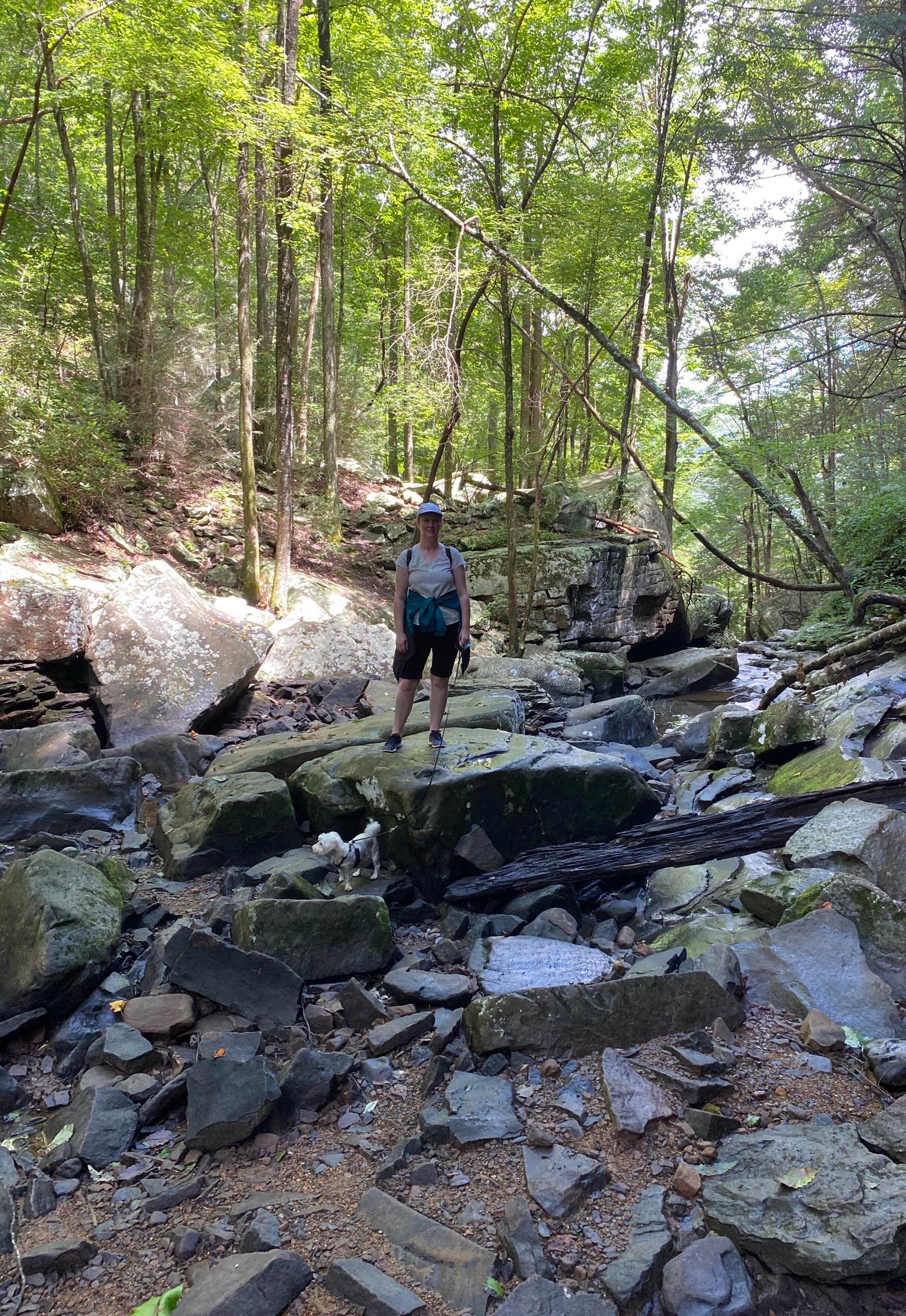 Camper-submitted photo at Cloudland Canyon State Park Campground near Ringgold, GA