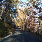 Review photo of Morrow Mountain State Park Campground by Ann M., May 27, 2018