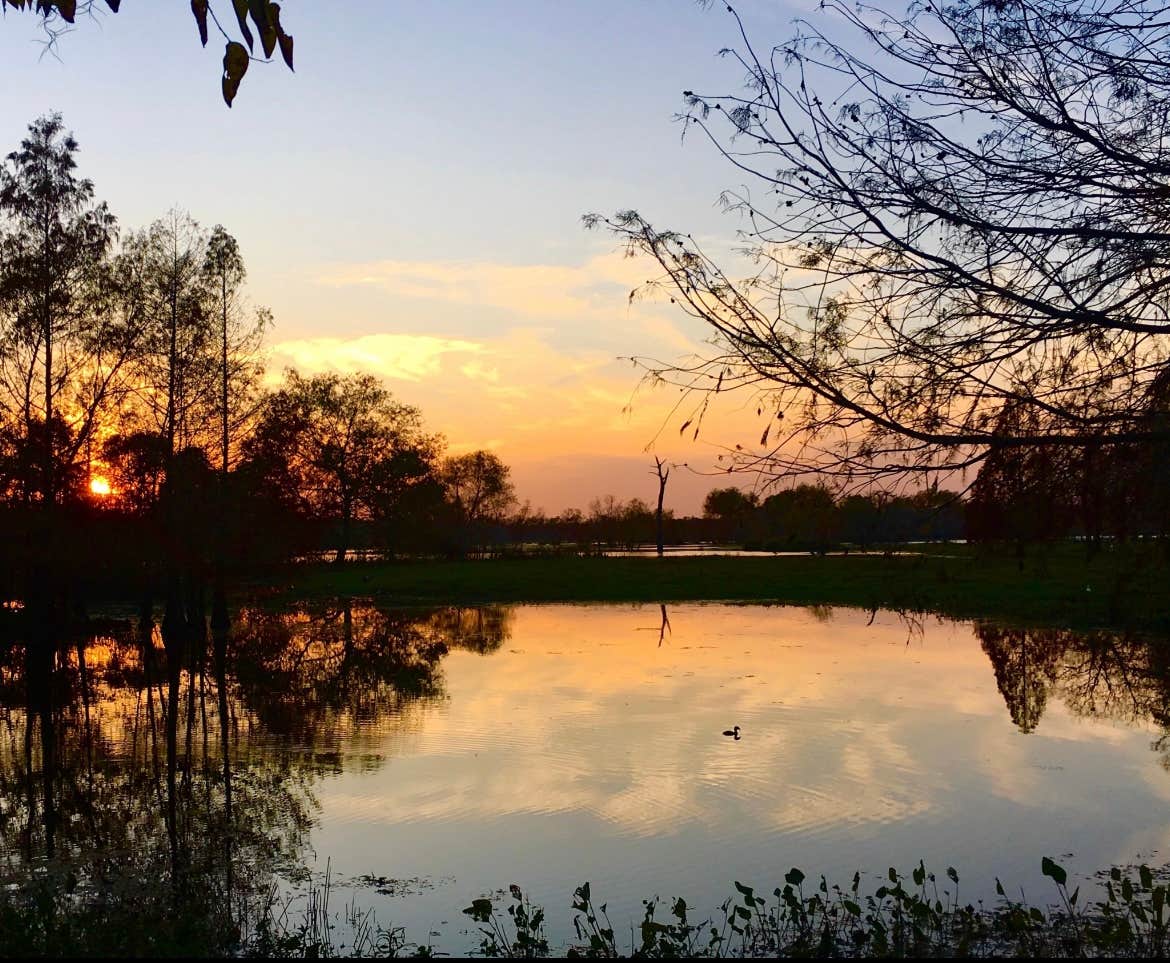 Camper-submitted photo at Brazos Bend State Park Campground near Fulshear, TX