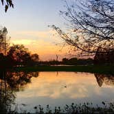 Review photo of Brazos Bend State Park Campground by Rebecca , January 7, 2021