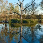 Review photo of Brazos Bend State Park Campground by Rebecca , January 7, 2021