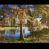 Review photo of Brazos Bend State Park Campground by Rebecca , January 7, 2021