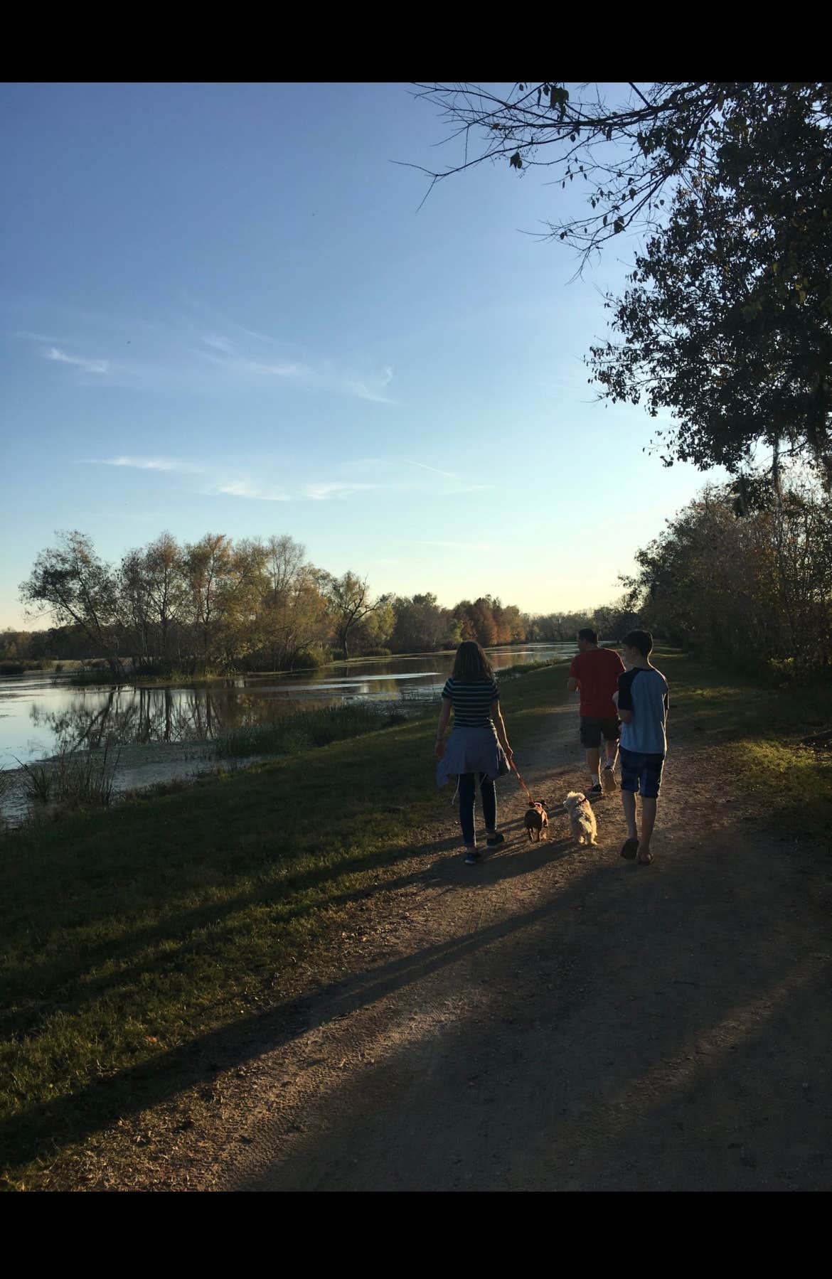 Camper submitted image from Brazos Bend State Park Campground - 1