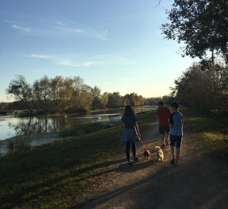 Camper-submitted photo from Brazos Bend State Park