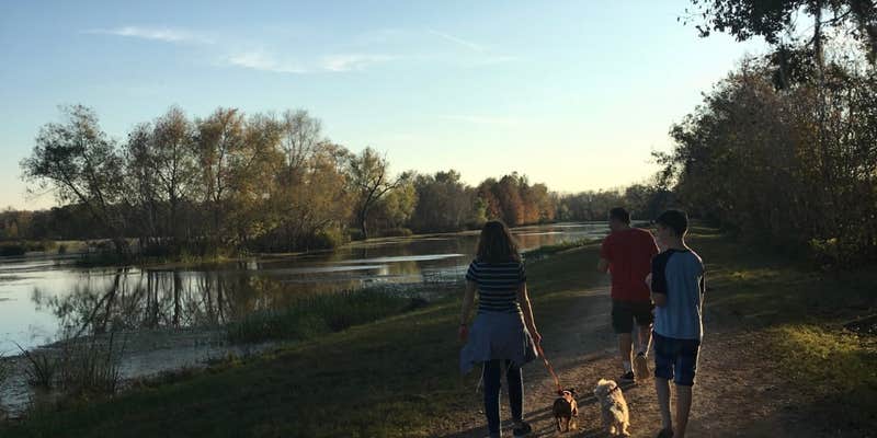 Camper submitted image from Brazos Bend State Park Campground