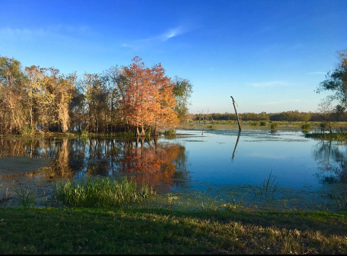 Camper-submitted photo at Brazos Bend State Park Campground near Fulshear, TX