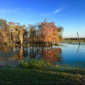 Review photo of Brazos Bend State Park Campground by Rebecca , January 7, 2021