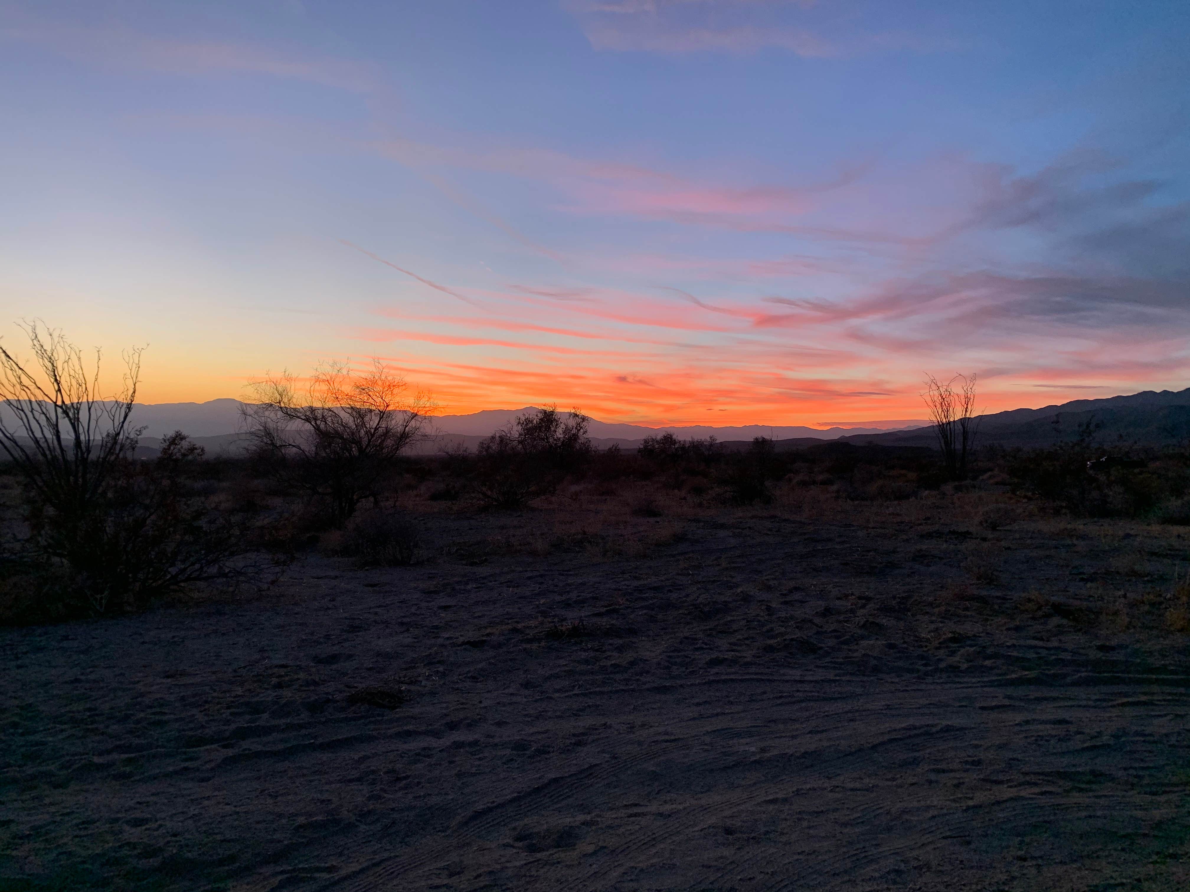 Camper-submitted photo at Joshua Tree South - BLM Dispersed near Thermal, CA