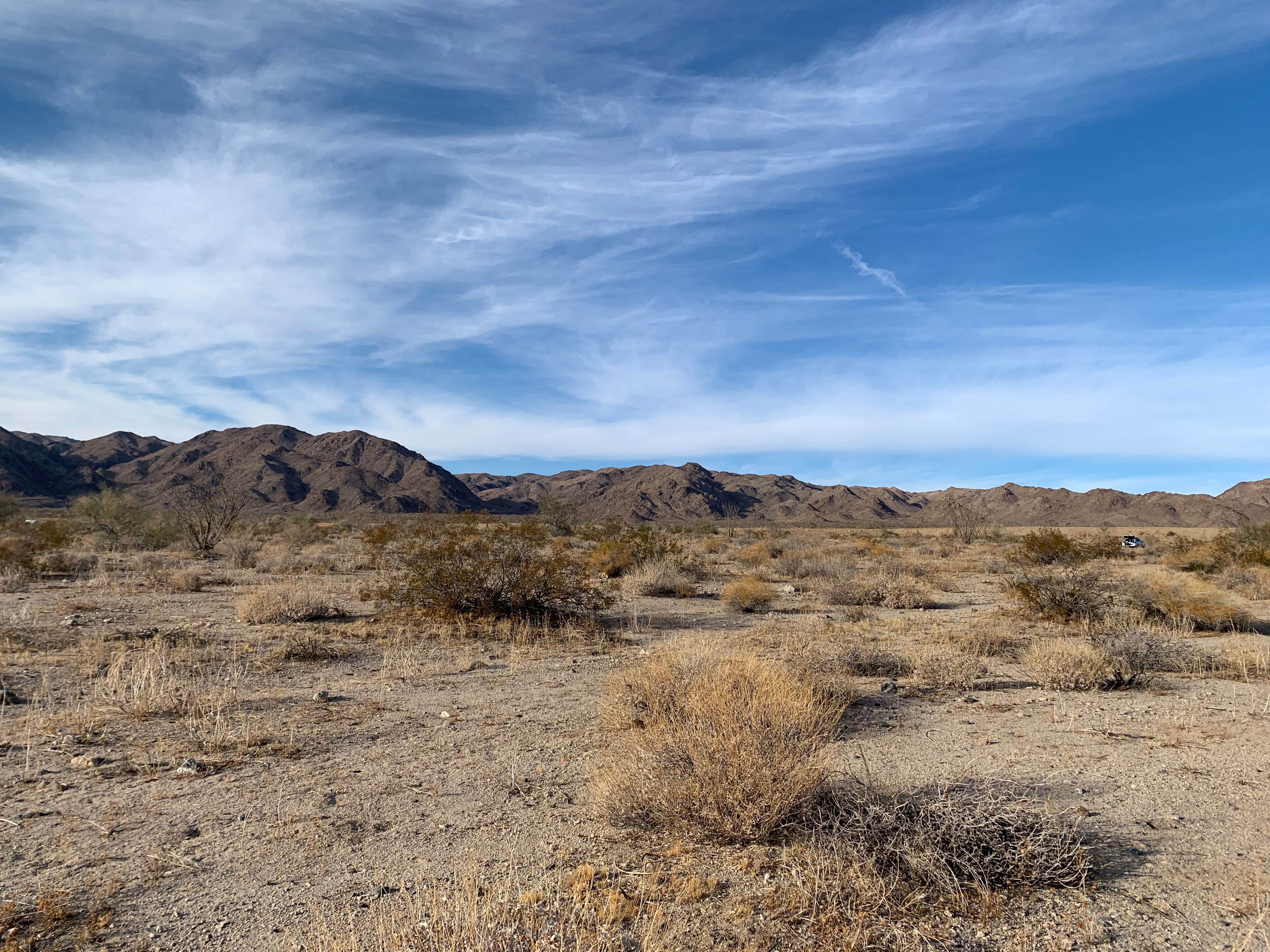 Camper-submitted photo at Joshua Tree South - BLM Dispersed near Thermal, CA