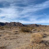 Review photo of Joshua Tree South - BLM Dispersed by Alice C., January 7, 2021
