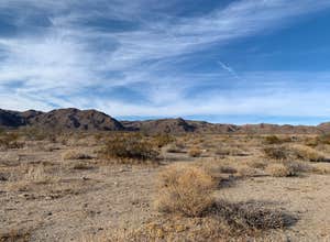 Joshua Tree South - BLM Dispersed