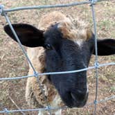 Review photo of Thousand Trails Gettysburg Farm by Mary H., January 7, 2021