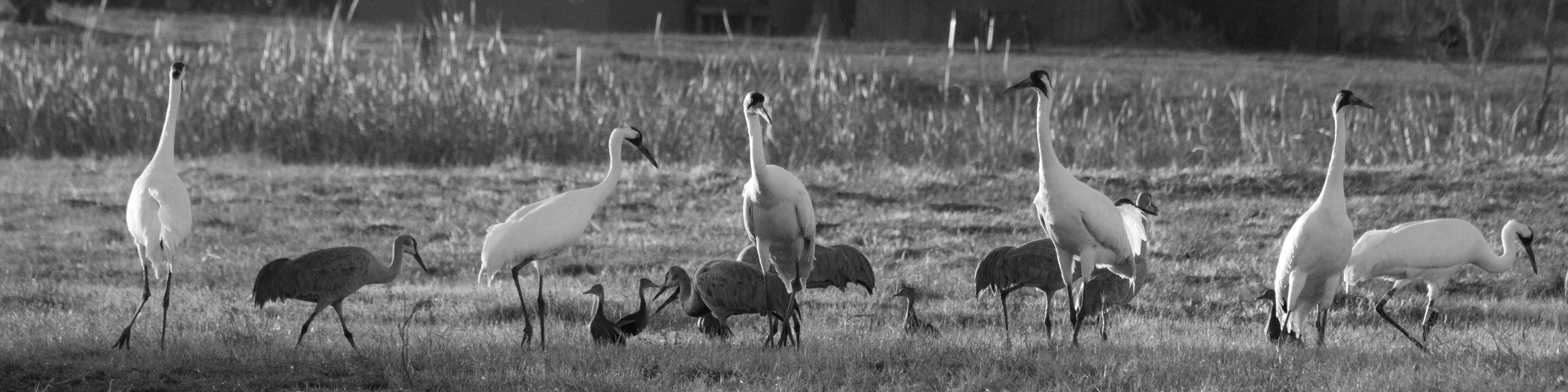 Camper-submitted photo at Goose Island State Park Campground near Corpus Christi, TX