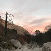Review photo of Pine Springs Campground — Guadalupe Mountains National Park by Johnathan C., January 8, 2021