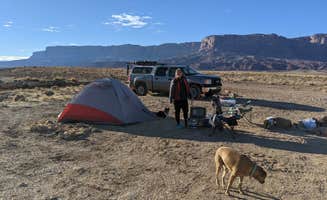 David R.'s photo of camping with pets at Soap Creek - Dispersed Camping near Lake Powell, UT