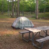 Review photo of Wildwood State Park Campground by Megan B., July 12, 2016