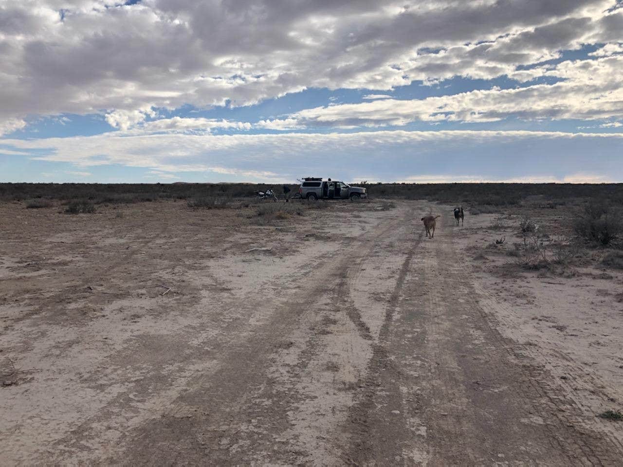 Camper-submitted photo at Mile 10 - Dispersed Camping near Whites City, NM