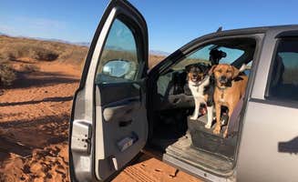 David R.'s photo of camping with pets at Red Sands Off-Highway Vehicle Area near Sunspot, NM