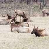 Review photo of Buffalo outdoor center by Stephen R., January 8, 2021