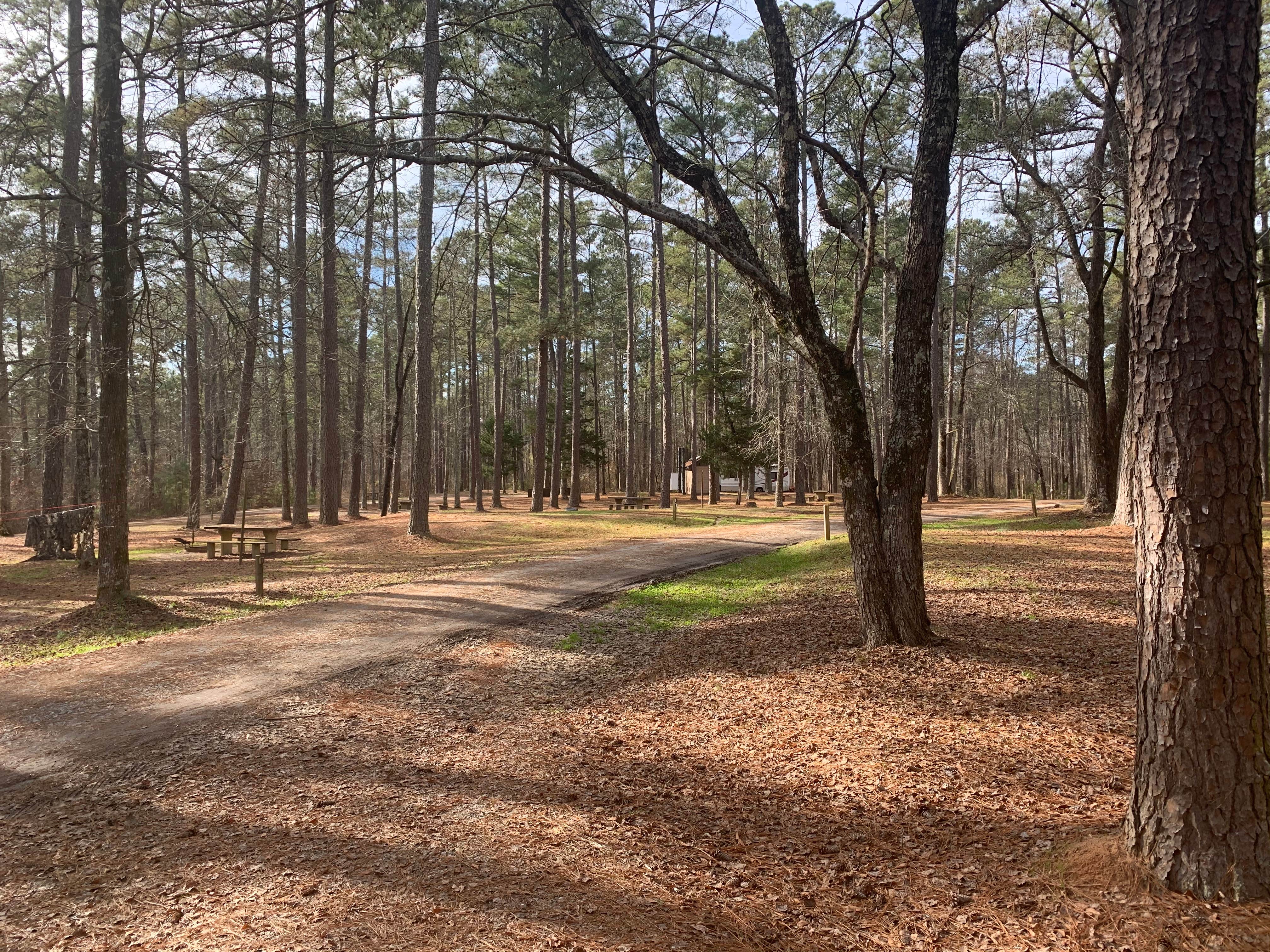 Camper-submitted photo at Brick House Campground (Sc) — Francis Marion And Sumter National Forests near Cross Anchor, SC