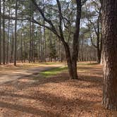 Review photo of Brick House Campground (Sc) — Francis Marion And Sumter National Forests by Michael W., January 8, 2021