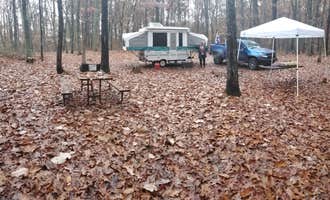 Camping near Camp Cacapon: Green Ridge State Forest, Little Orleans, Maryland