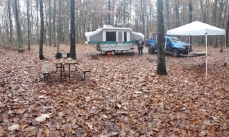 Camping near Rvino - Ridge Rider Campground, LLC: Green Ridge State Forest, Little Orleans, Maryland