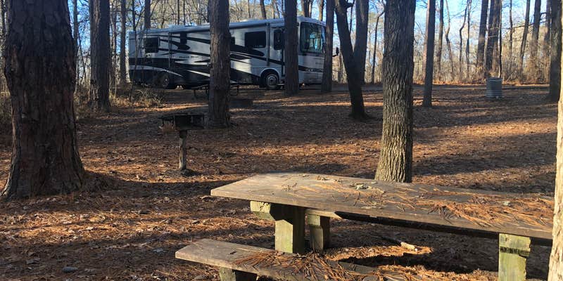 Camper submitted image from Jeff Busby Campground, Milepost 193.1 — Natchez Trace Parkway