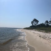 Review photo of  Fort Pickens Campground by Rebecca , January 8, 2021