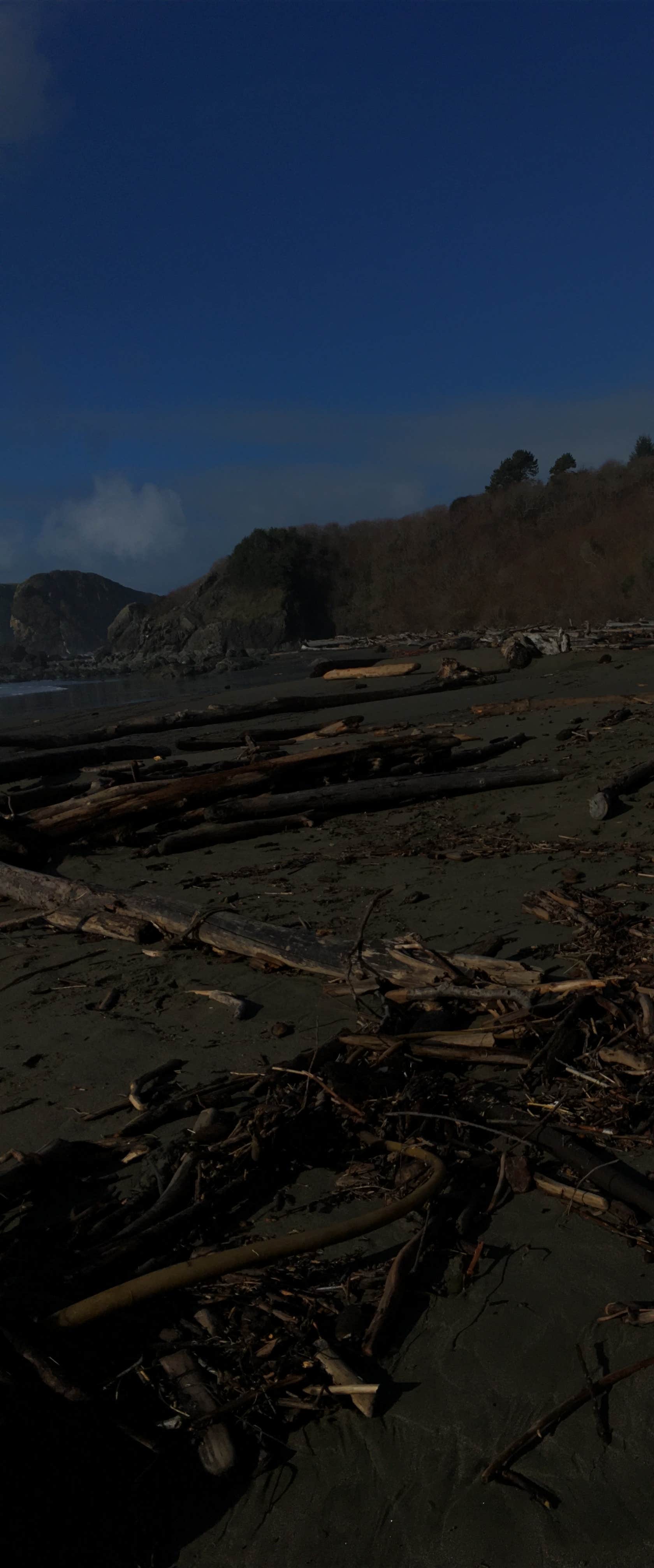 Camper-submitted photo at Harris Beach State Park Campground in Oregon
