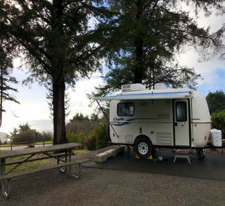 Camper-submitted photo from Harris Beach State Park Campground