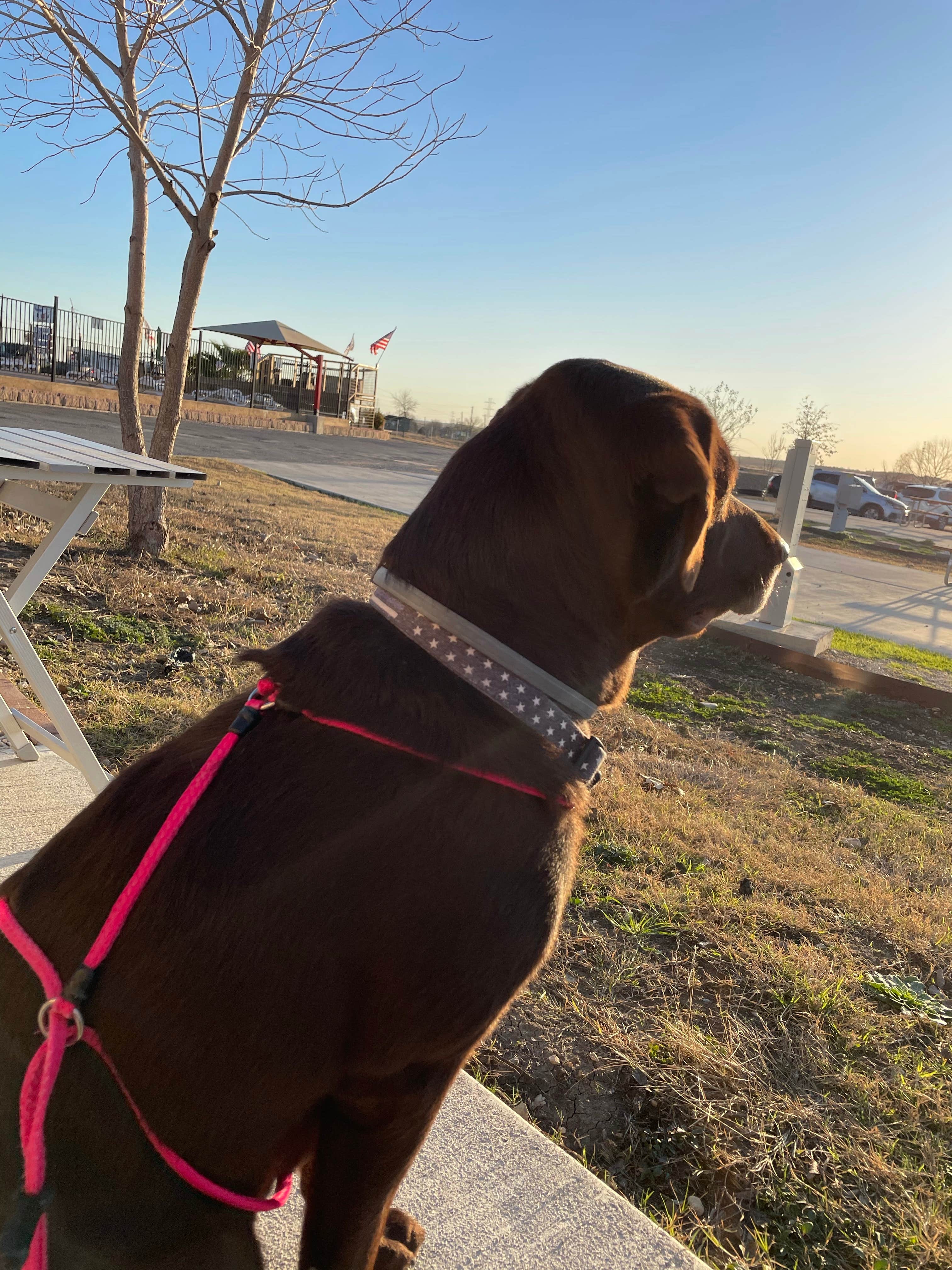 Camper-submitted photo at Longhorn RV Resort near Wimberley, TX