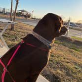 Review photo of Longhorn RV Resort by Bill B., January 8, 2021