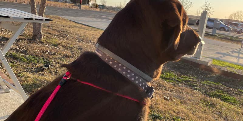 Camper submitted image from Longhorn RV Resort