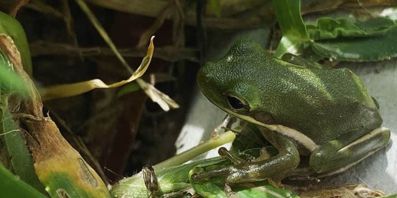 Camper submitted image from St. Ives RV Resort