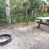 Review photo of Tomoka State Park Campground by Denise , January 8, 2021