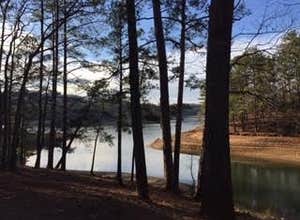 Red Top Mountain State Park Campground