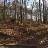 Review photo of Red Top Mountain State Park Campground by Denise , January 8, 2021