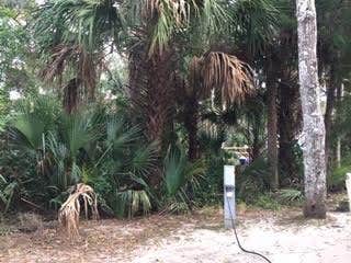 Camper-submitted photo at Tomoka State Park Campground near Ormond Beach, FL
