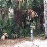 Review photo of Tomoka State Park Campground by Denise , January 8, 2021