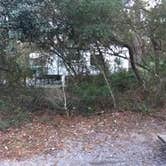 Review photo of Grayton Beach State Park Campground by Denise , January 8, 2021